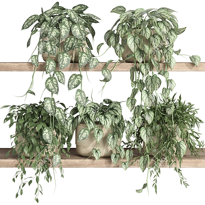 Plants Shelf 3D Model Kit 3D model image 1