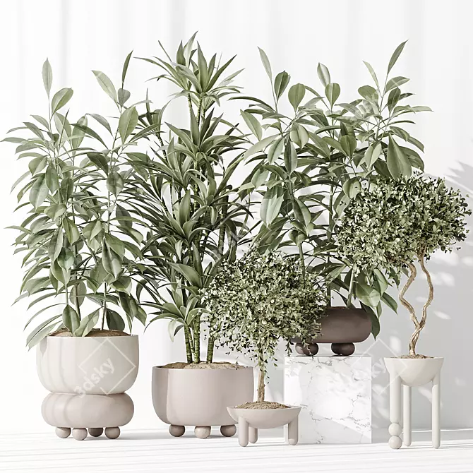 Variety Indoor Plant Set Collection 3D model image 2