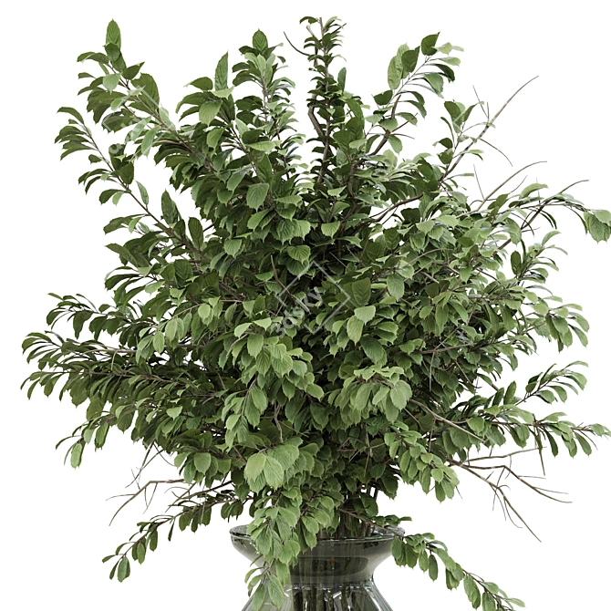 Green Branch Glass Vase Bouquet 3D model image 3