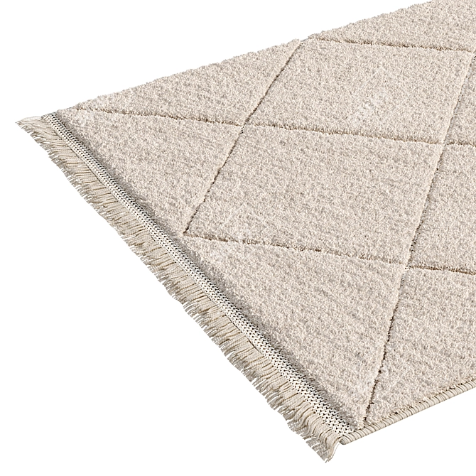 Tonia Berber-style Rug Collection 3D model image 2