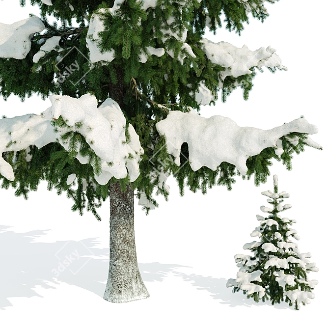 Winter Spruce Tree Display 7m 3D model image 2