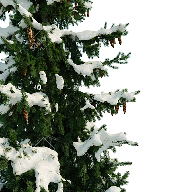 Winter Spruce Tree Display 7m 3D model image 3