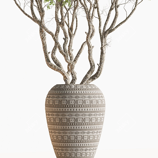 610 Outdoor Tree in Pot 3D model image 3