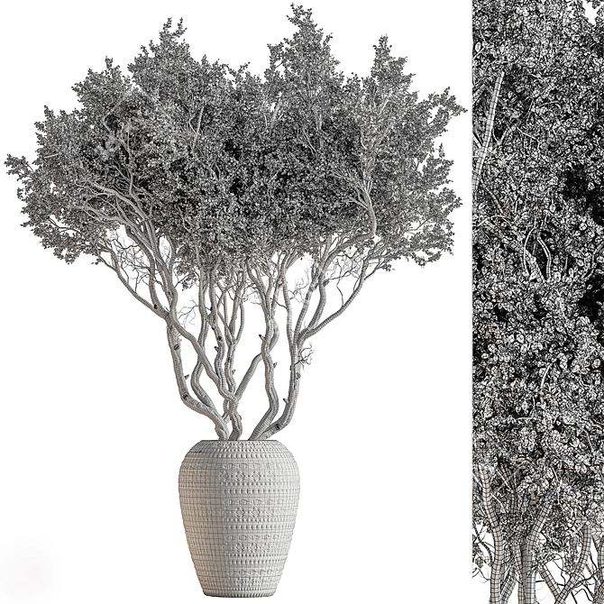 610 Outdoor Tree in Pot 3D model image 5