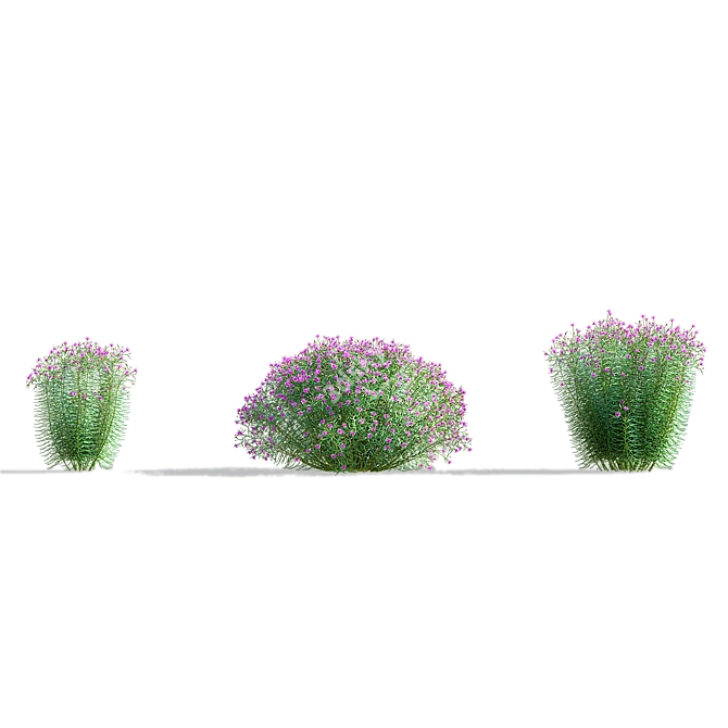 Vernonia Angustifolia Flower Collection 3D model image 3