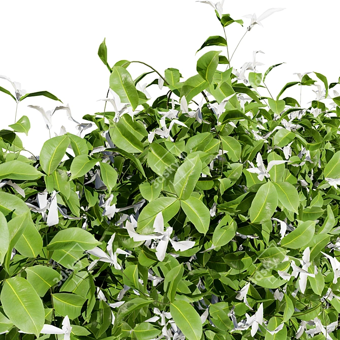 Honeysuckle Collection for 3D Renders 3D model image 2