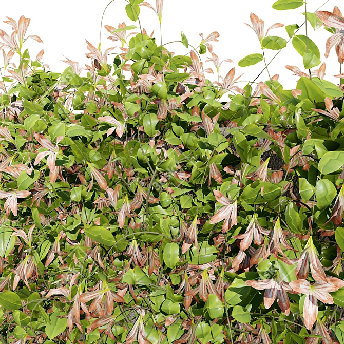 Honeysuckle Collection for 3D Renders 3D model image 4