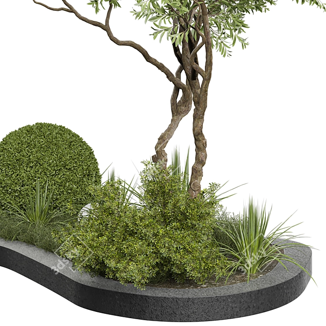 Outdoor Plant 270 3D Model 3D model image 3