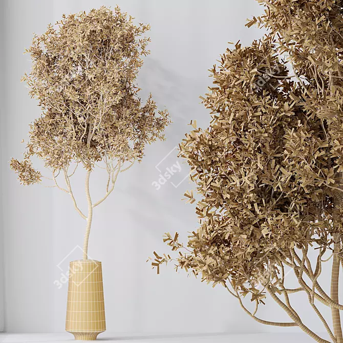 Elegant Olive Tree Yard Set 3D model image 5