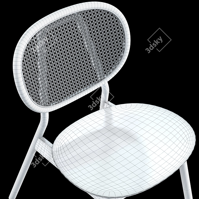 Modern Cane Rattan Dining Chair 3D model image 7