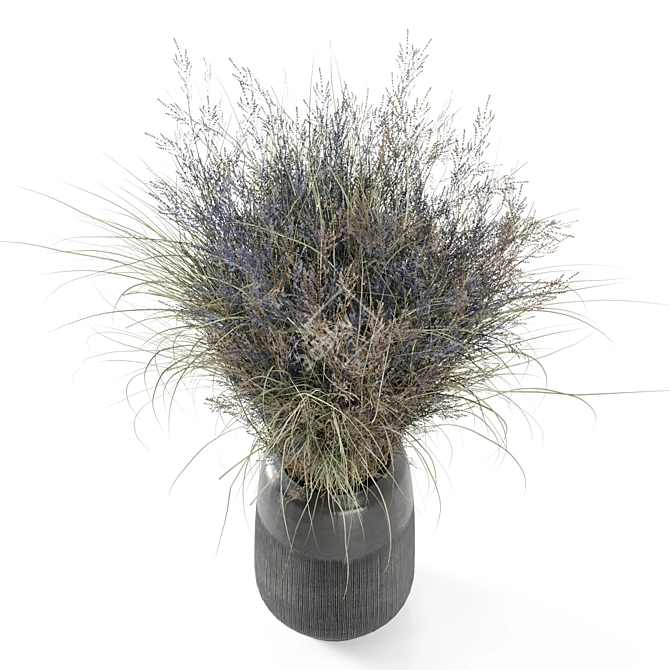 Unique Dry Bouquet Plants Set 3D model image 2