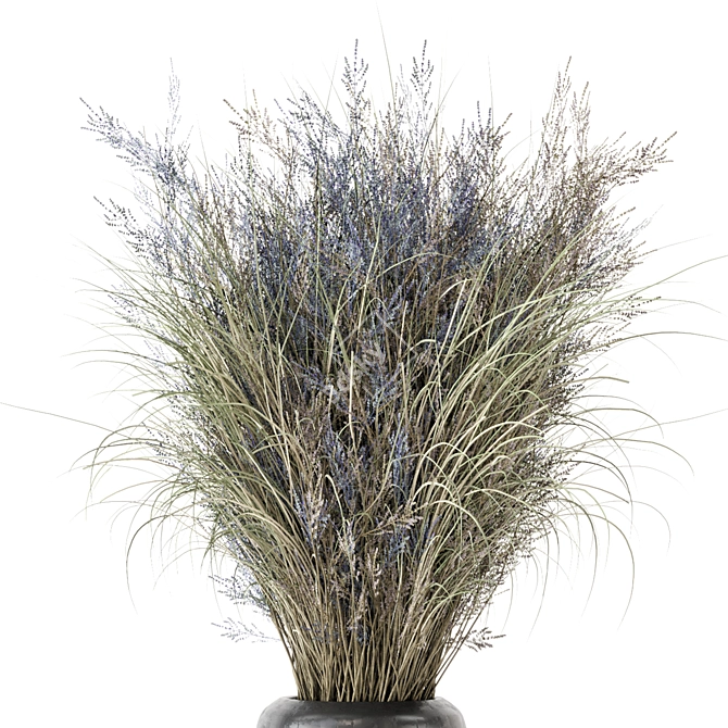 Unique Dry Bouquet Plants Set 3D model image 3