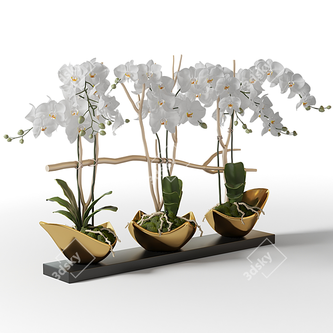 Gilded Orchids in Black Vase 3D model image 2