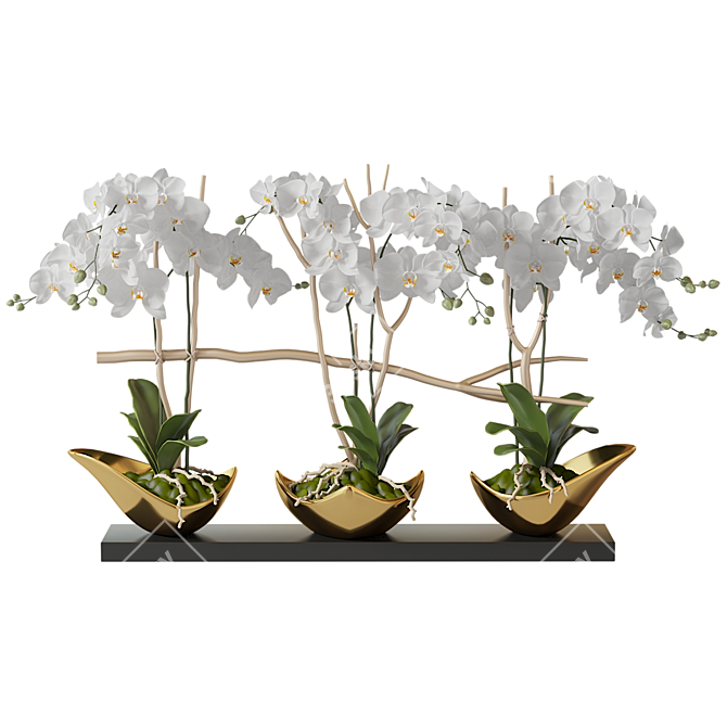 Gilded Orchids in Black Vase 3D model image 4