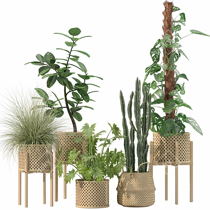 Luxury Indoor Plant Assortment 203 3D model image 1