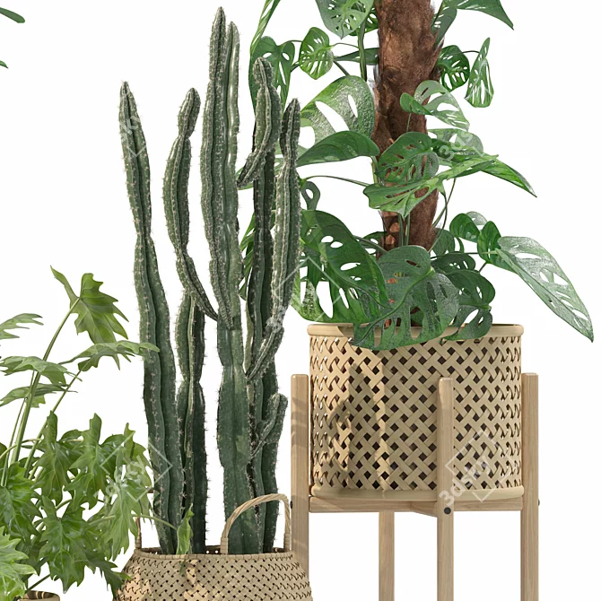 Luxury Indoor Plant Assortment 203 3D model image 2