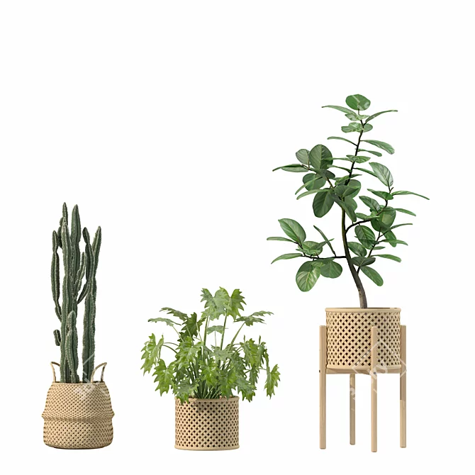 Luxury Indoor Plant Assortment 203 3D model image 3