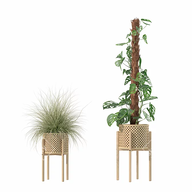 Luxury Indoor Plant Assortment 203 3D model image 4