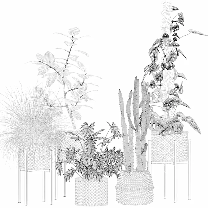 Luxury Indoor Plant Assortment 203 3D model image 6