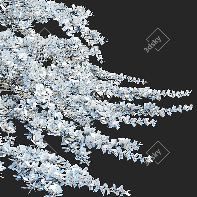 Hybrid Flowering Cotoneaster Set 3D model image 5