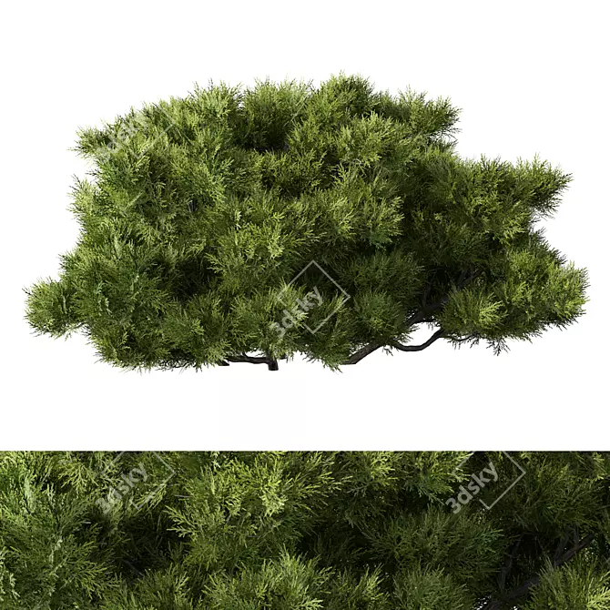 Sleek Bush No.15 Organizer 3D model image 1