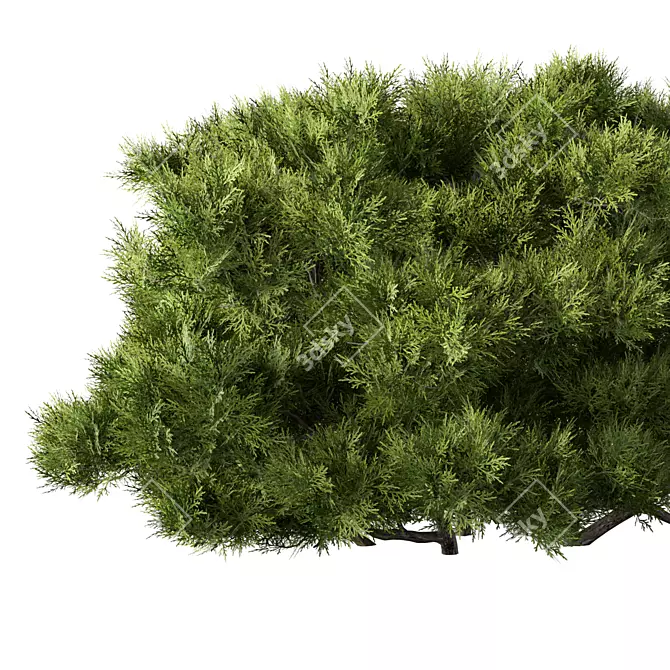 Sleek Bush No.15 Organizer 3D model image 2