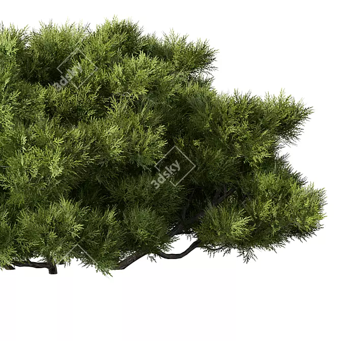 Sleek Bush No.15 Organizer 3D model image 3