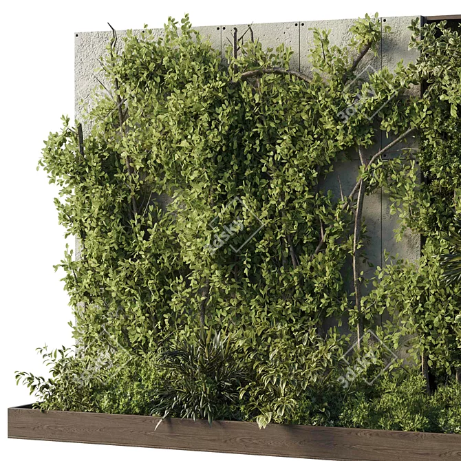 Outdoor Plant 195 Wall Garden 3D model image 3