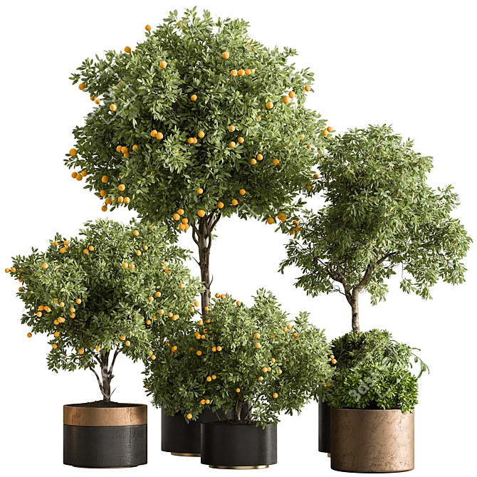  Citrus Heaven: Lemon Plants 3D model image 1