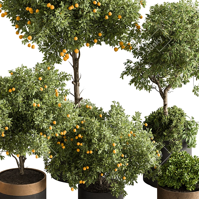  Citrus Heaven: Lemon Plants 3D model image 2