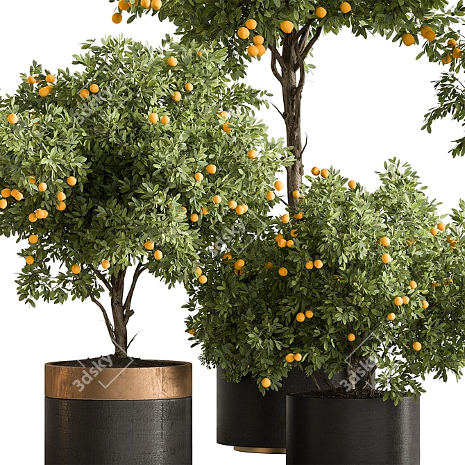  Citrus Heaven: Lemon Plants 3D model image 3