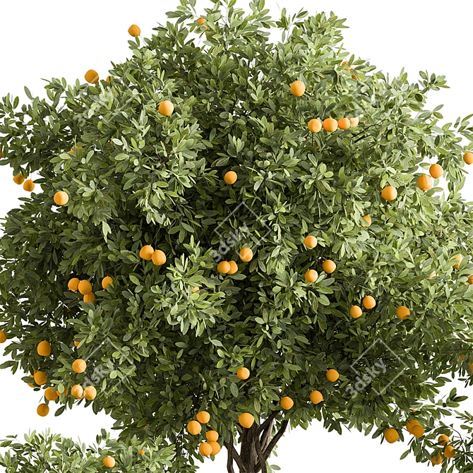  Citrus Heaven: Lemon Plants 3D model image 5