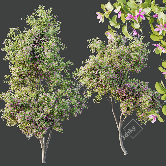 Orchid Tree 3D Models Bundle 3D model image 4