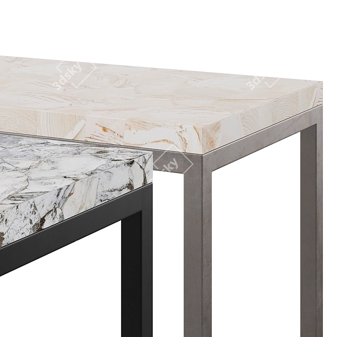 Elegant Arielle Console Table, Argento 3D model image 4