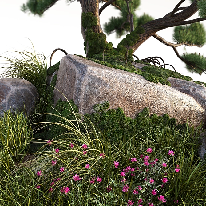 Stone Pine Landscaping Solution 3D model image 4