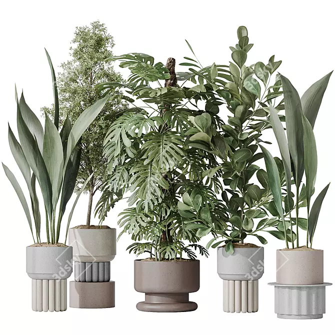 Elegant Indoor Plant Bundle 3D model image 1