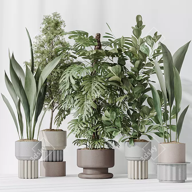 Elegant Indoor Plant Bundle 3D model image 2