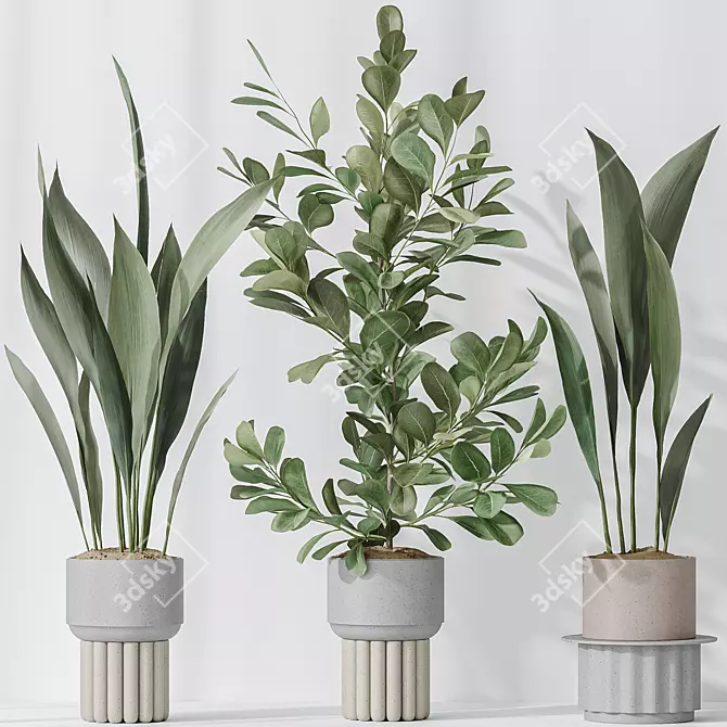 Elegant Indoor Plant Bundle 3D model image 3