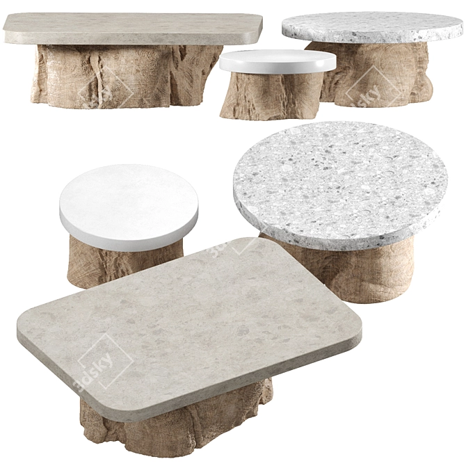 Ethnic Wood and Stone Tables 3D model image 2