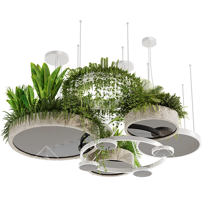 High-Quality Indoor Hanging Plant Set 3D model image 2