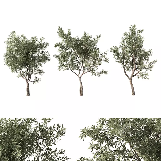 Forest Grove Miniature Tree Set 3D model image 4