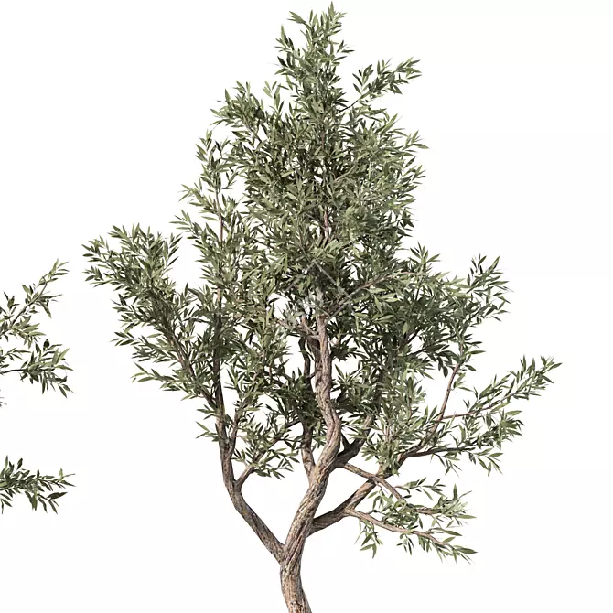 Forest Grove Miniature Tree Set 3D model image 1