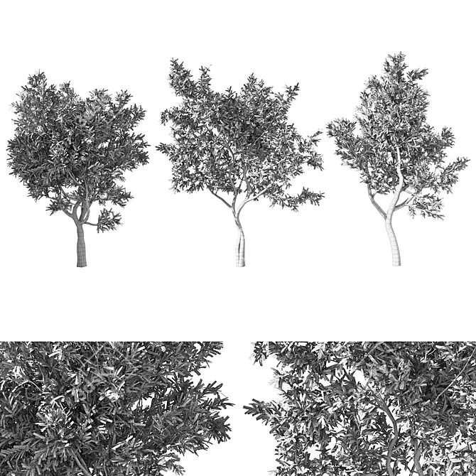 Forest Grove Miniature Tree Set 3D model image 2