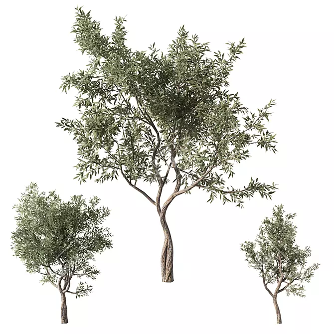 Forest Grove Miniature Tree Set 3D model image 3