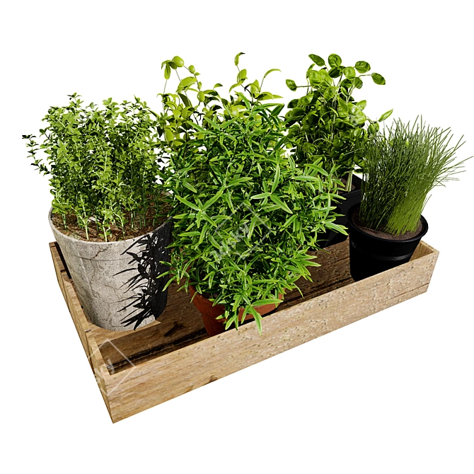 Herbs Tray 3D Model 3D model image 4