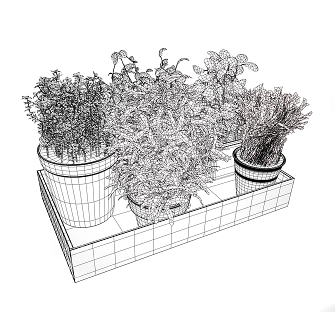 Herbs Tray 3D Model 3D model image 5