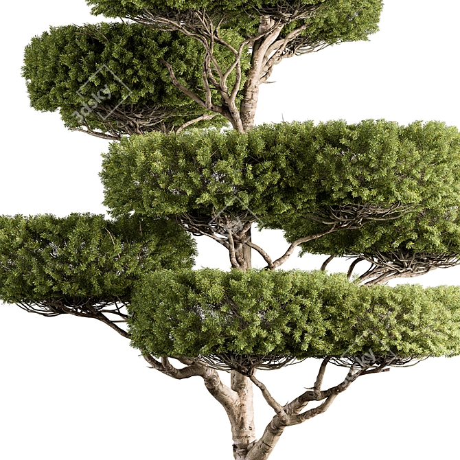 Sculpted Tree Duo - Set 308 3D model image 2