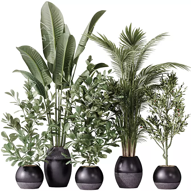 Modern Indoor Plant Set Model 3D model image 1