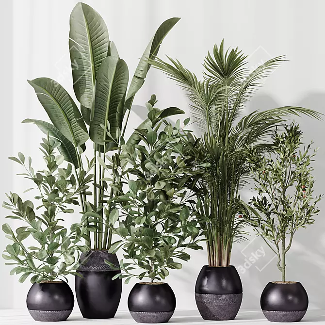 Modern Indoor Plant Set Model 3D model image 2