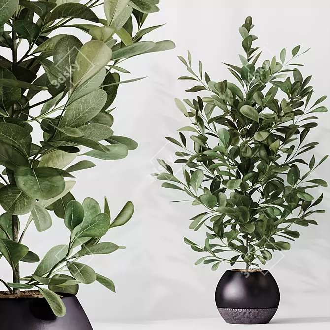 Modern Indoor Plant Set Model 3D model image 3